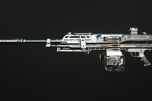 Warzone 2 RAAL MG LMG loadout weapon inspect image