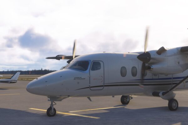 Screenshot of Microsoft Flight Simulator 2024 running on PC patch