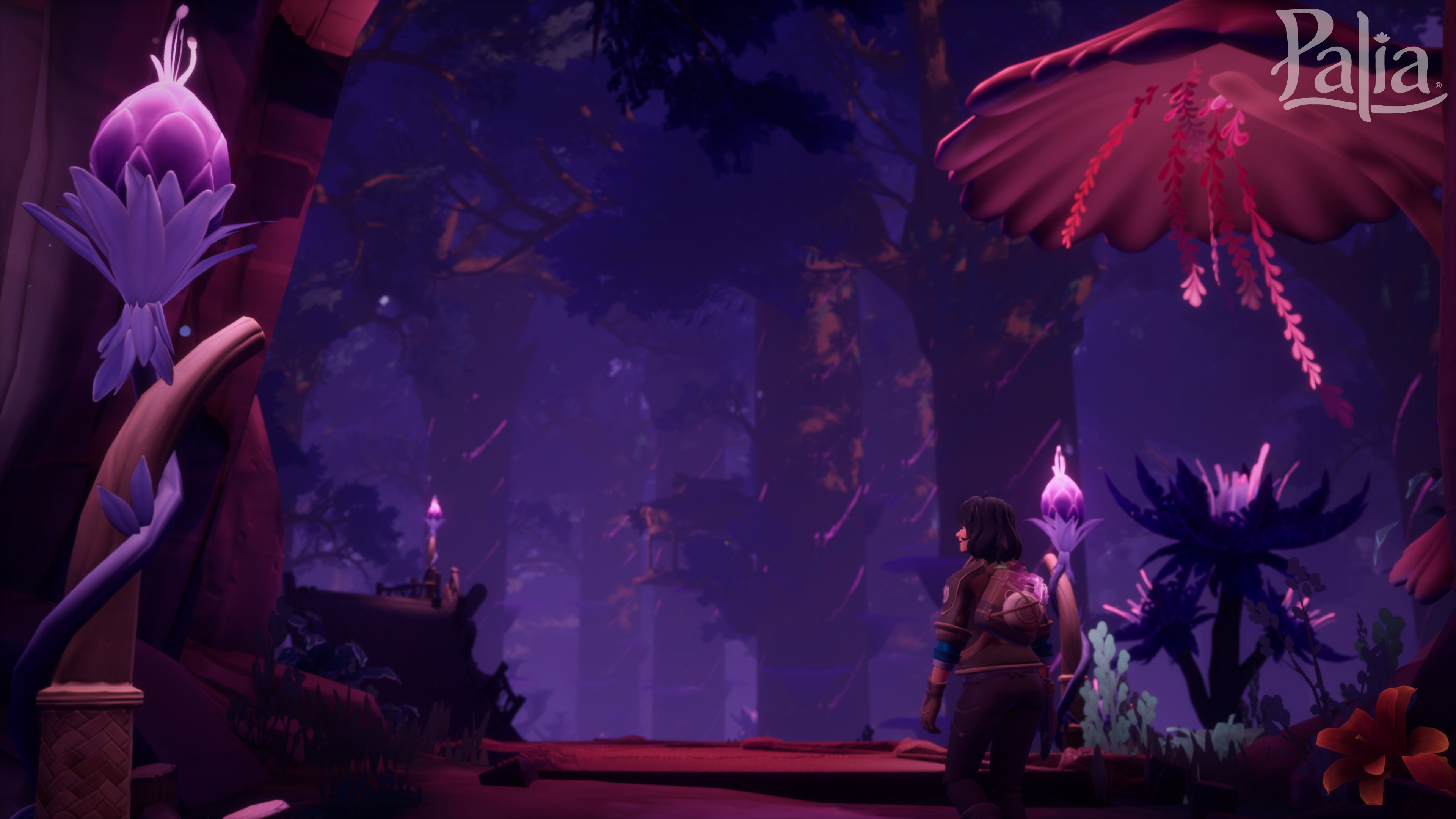 what time does palia elderwoods update release