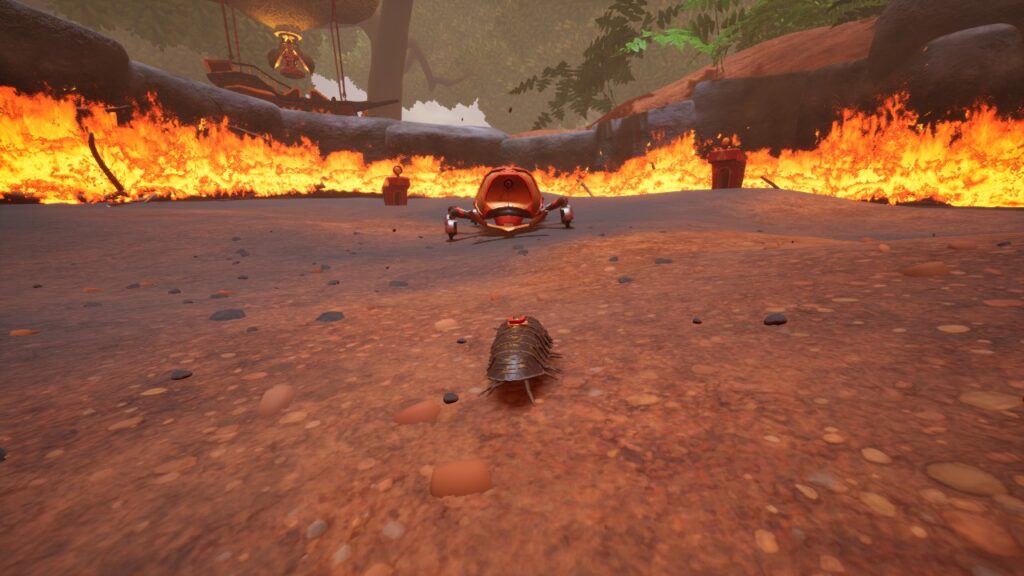 Isopod review winston 