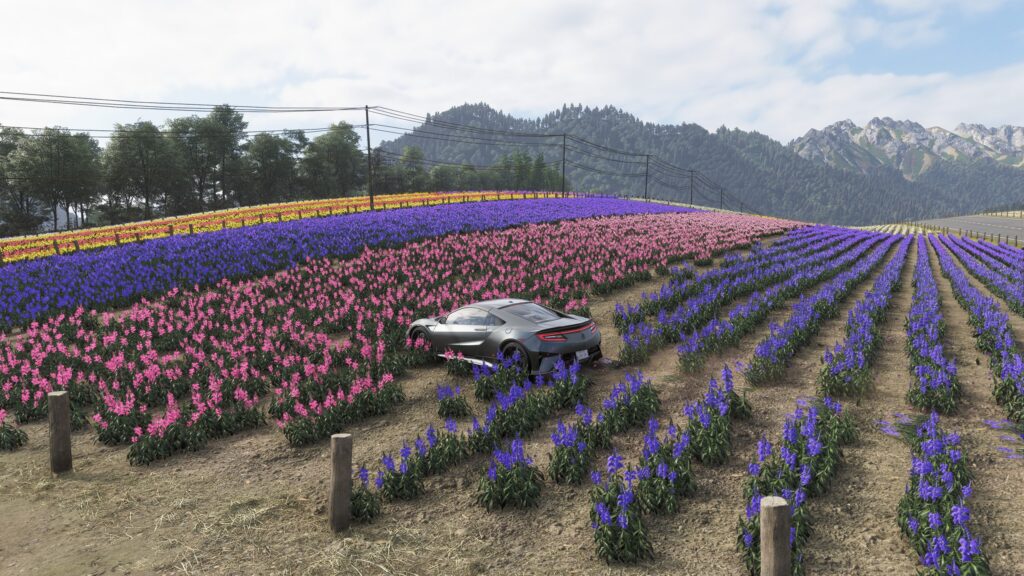 Forza Horizon 6 review